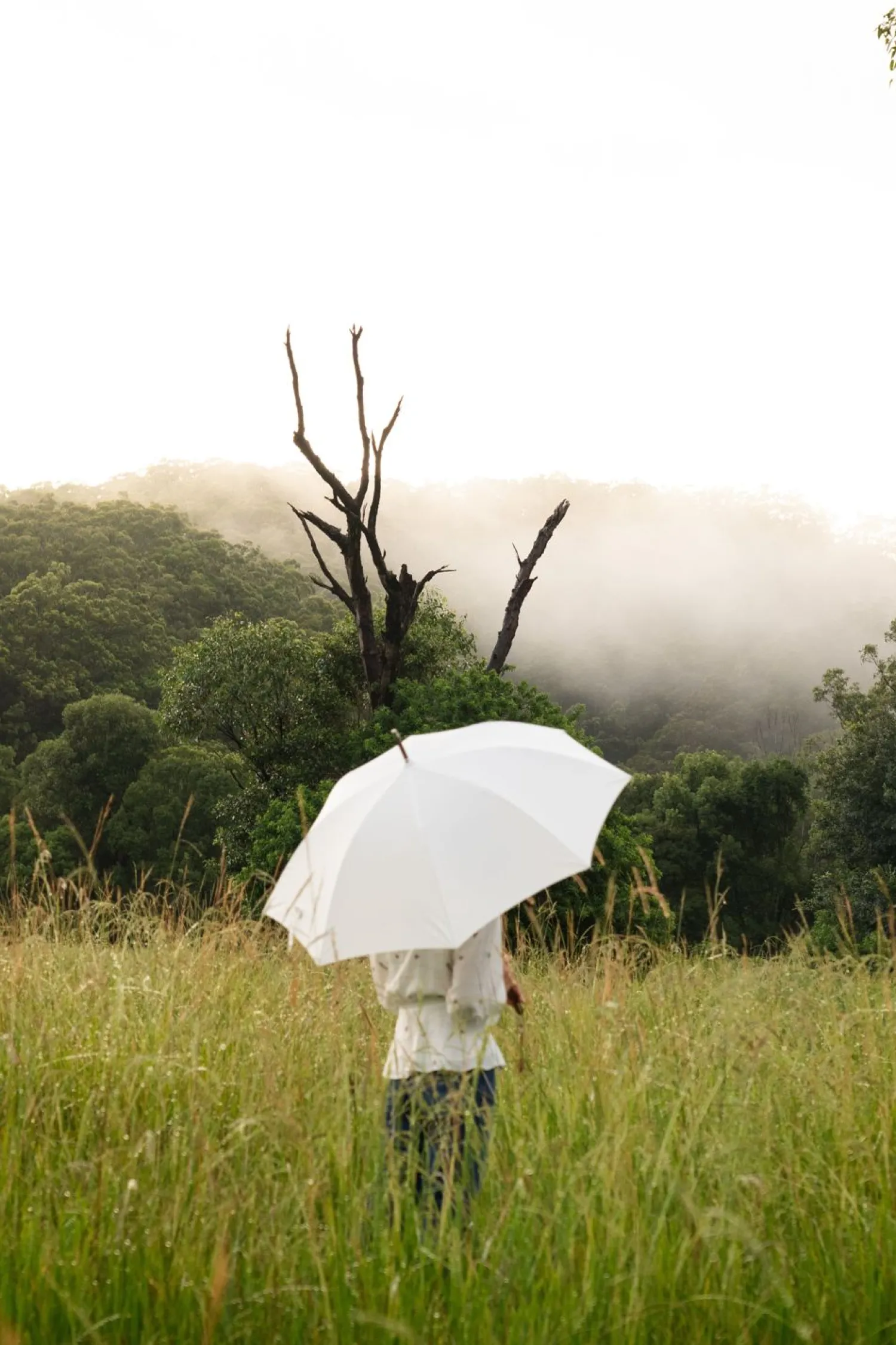 The Rain Umbrella - Antique White^Business & Pleasure Co. Discount